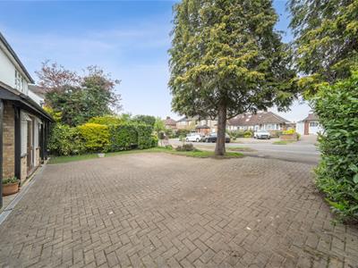 Picture 20